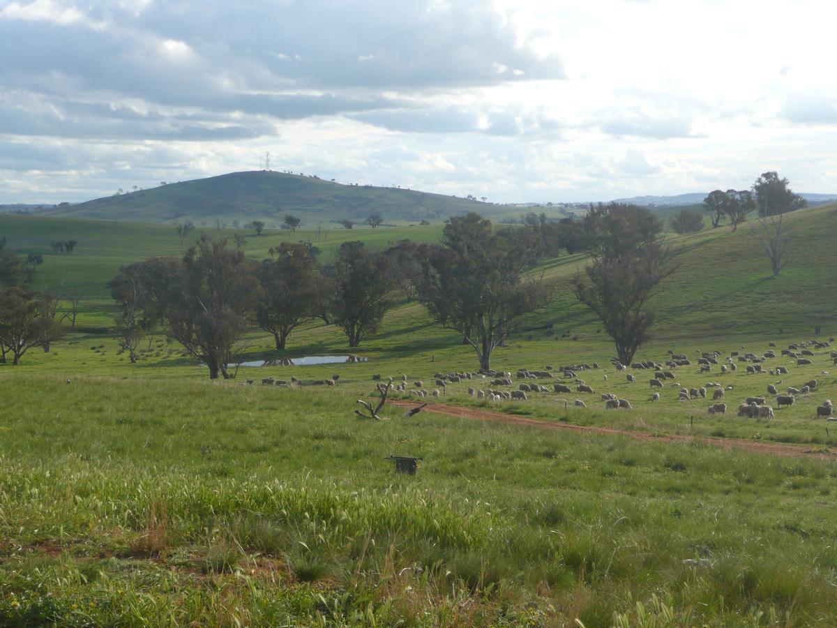 Wantana Cottage Farmstay Boorowa Екстер'єр фото