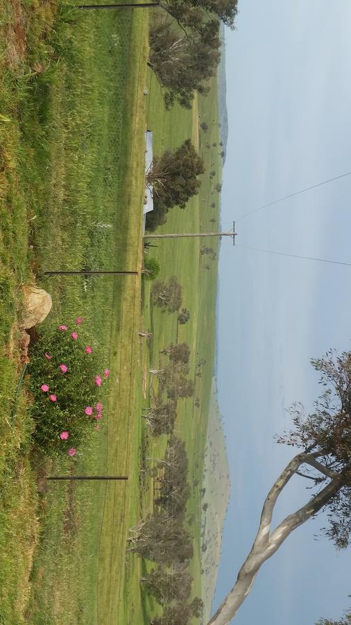 Wantana Cottage Farmstay Boorowa Екстер'єр фото